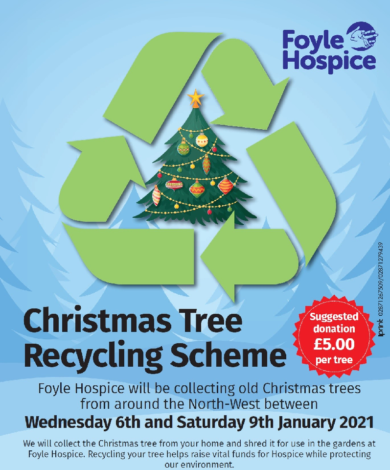 christmas tree recycle Foyle Hospice