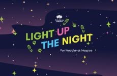 Light Up The Night 2027 - Light Up The Night - Group Booking (10+)
