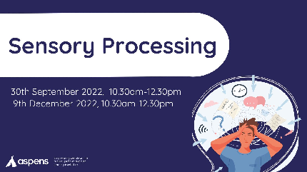 Sensory Processing Workshop - 30th September 2022 - Sensory Processing Workshop - 30th September 2022 - Individual Entry