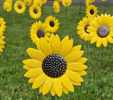 'Sea of Sunflowers' Ironwork Sunflower Dedication - 'Sea of Sunflowers' Ironwork Sunflower Dedication - Purchase your sunflower and make your dedication here: