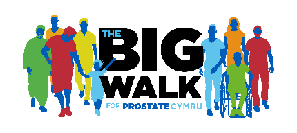 The Big Walk 2024 - The Big Walk 2024 - Walk the Aberystwyth Castle - 20th July