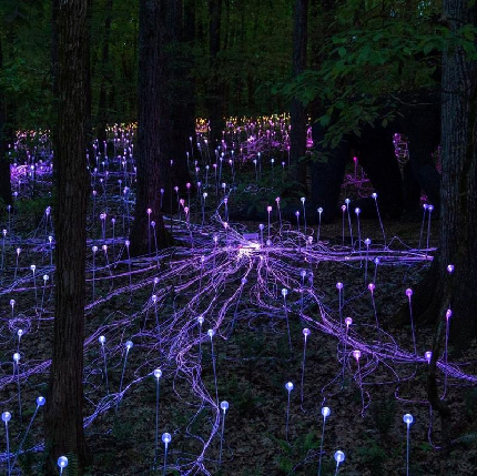 Moments of Light - 16-31st October, 5:30-6:30pm - Free Entry