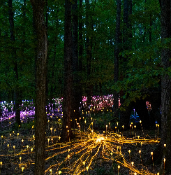 Moments of Light - 1-31st December, 3:30-4:30pm - Free Entry