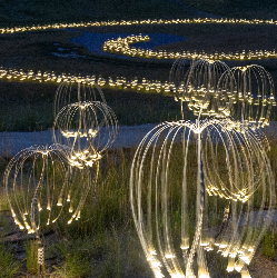 Moments of Light - 1-30th November, 4-5pm - Free Entry