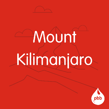 Mount Kilimanjaro virtual challenge - Mount Kilimanjaro virtual challenge - Individual