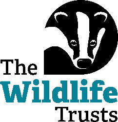 The Wildlife Trusts' Big Wild Walk 2023 - The Wildlife Trusts' Big Wild Walk 2023 - General entry (individuals & teams)