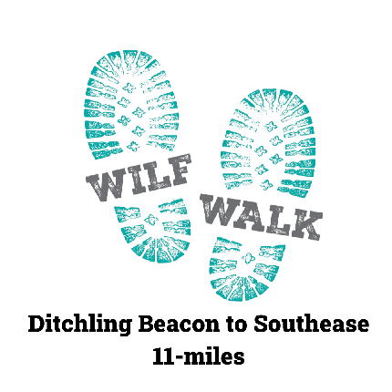 Wilf Walk 2024 - Wilf Walk 2024 -  Ditchling Beacon (Brighton) to Southease (11-miles)