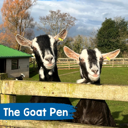 Animal Sponsorship (4003) - Sponsor The Goat Pen - Physical Pack