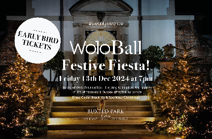 WoloBall 2024 - Festive Fiesta! - WoloBall 2024 - Table of 10