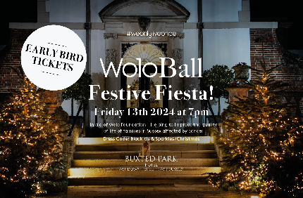 WoloBall 2024 - Festive Fiesta! - WoloBall 2024 - DEPOSIT for table of 12