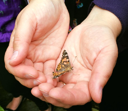 Inverness Memorial Event with Butterfly Release 2025 - Oban Memorial Event with Butterfly Release - Entry with 4 Butterflies