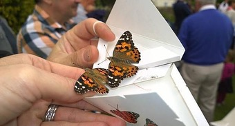 Inverness Memorial Event with Butterfly Release 2025 - Oban Memorial Event with Butterfly Release - Entry with 2 Butterflies