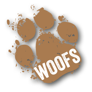 Solihull Woofs 2025 - Solihull Woof Run 2025 - EARLY BIRD admission - Over 2's