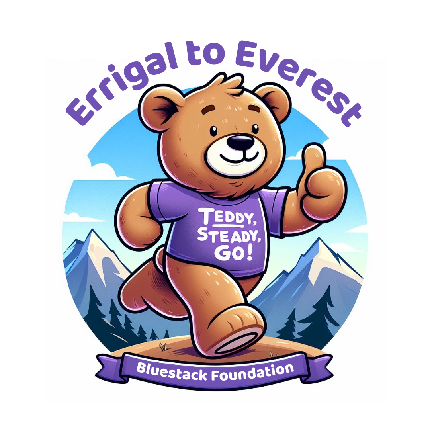 Teddy, Steady, Go! Errigal2Everest - Teddy, Steady, Go! Errigal2Everest - Virtual Entry