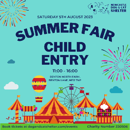 Summer Fair - Summer Fair - Child Entry - Summer Fair