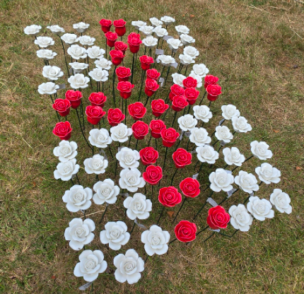 Roses for Remembrance - Roses for Remembrance 26 - World Cup Remembrance Rose