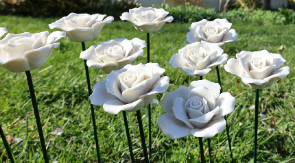 Roses for Remembrance - Roses for Remembrance 26 - Remembrance Rose and engraving 