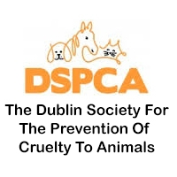 Sign up to fundraise for the DSPCA! - Sign up to fundraise for the DSPCA - Fundraise for the DSPCA