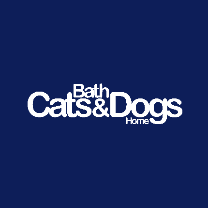 Bath Half Marathon 2027 - Bath Half Marathon 2027 - I Already Have a Place