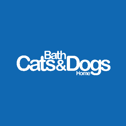 Bath Half Marathon 2027 - Bath Half Marathon 2027 - Register for a BCDH Place