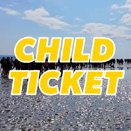 Cross Bay Walk 2026 - Cross Bay Walk 2026 - Child