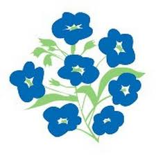 Alzheimers Memory Walk 2026 - Alzheimers Memory Walk 2026 - Child Early Bird