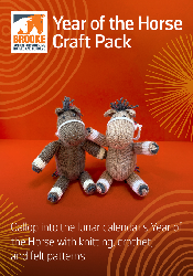 Year of the Horse Craft Pack - Year of the Horse Craft Pack - Register to receive a physical pack