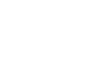X icon